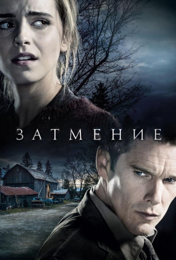 Фильм Затмение 2015 смотреть онлайн: триллер с Итаном Хоуком и Дэвидом Тьюлисом